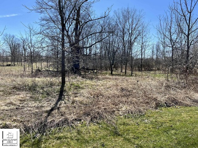 S Gale Rd, Davison, MI 48423 - photo 2