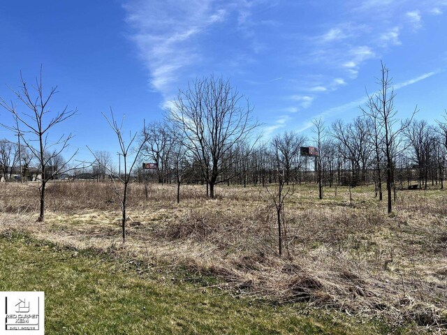 S Gale Rd, Davison, MI 48423 - photo 3
