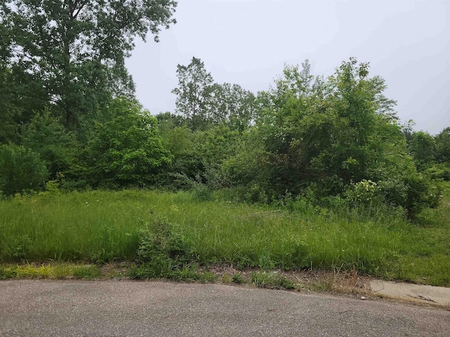 1355 Elm St, Clio, MI 48420