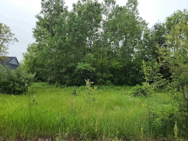 1375 Elm St, Clio MI, 48420 land for sale