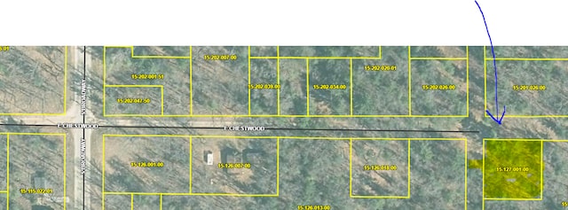 1512700100 Chestwood Ave, Idlewild MI, 49642 land for sale