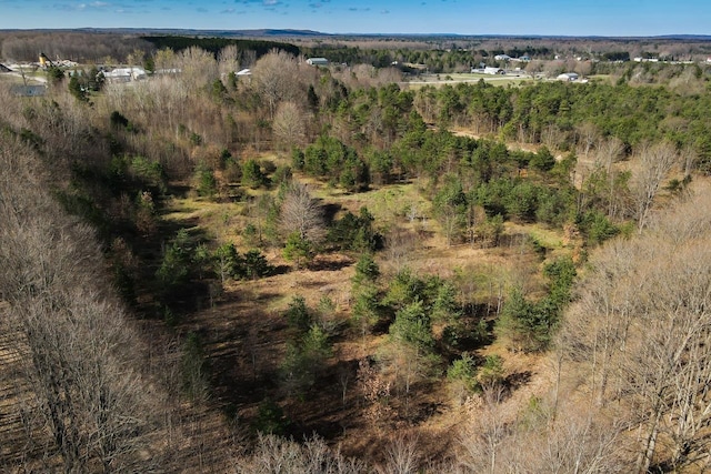 V/L Honor Highway, Interlochen, MI 49643