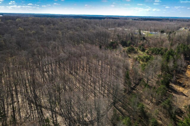 V/L Honor Highway, Interlochen, MI 49643