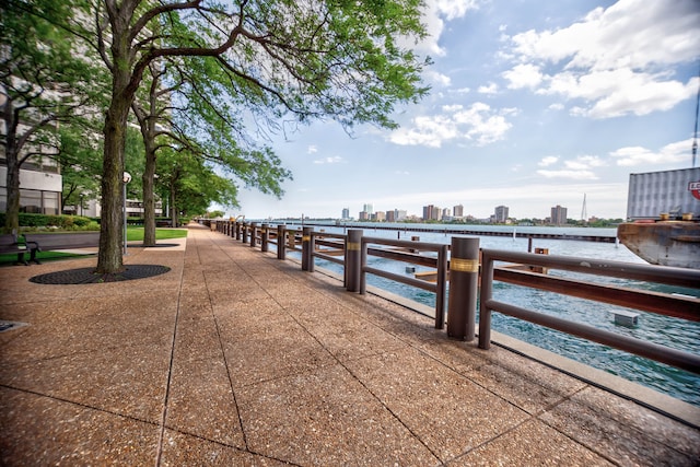 dock area with a water view