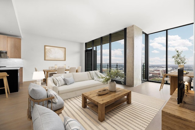 living room featuring expansive windows and light hardwood / wood-style flooring