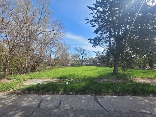 3432 Beals St, Detroit, MI 48214