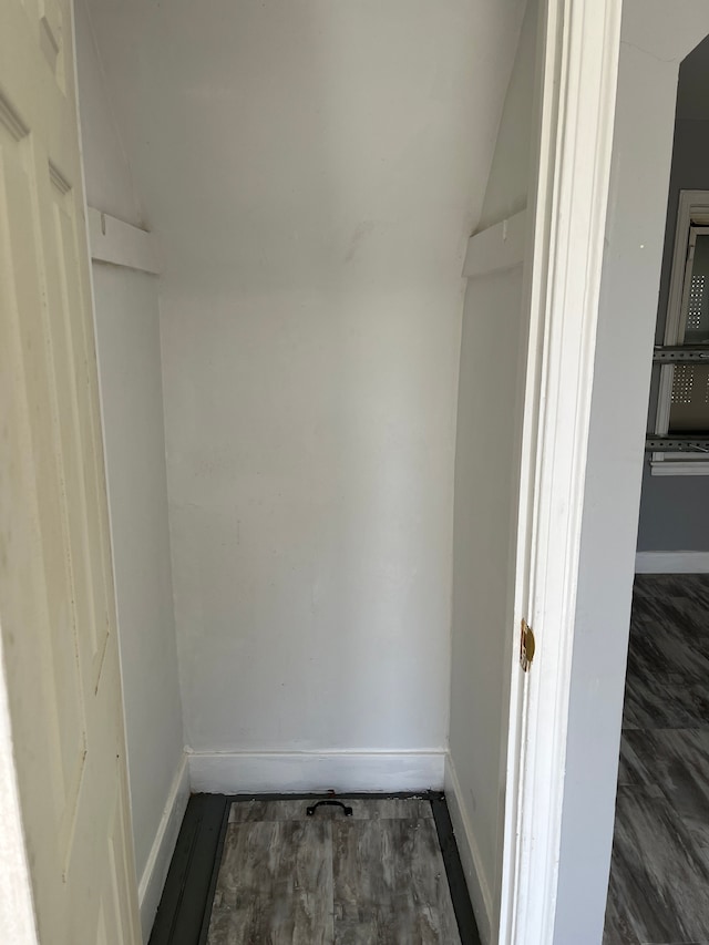 spacious closet featuring dark hardwood / wood-style floors