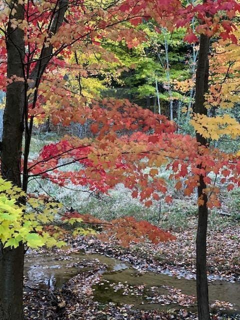 3975 Harbor Breeze Dr, Norton Shores, MI 49441 - view of undeveloped land