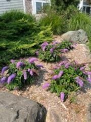 3975 Harbor Breeze Dr, Norton Shores, MI 49441 - view of yard