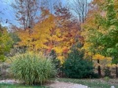 3975 Harbor Breeze Dr, Norton Shores, MI 49441 - view of yard