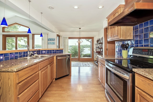 kitchen featuring a wealth of natural light, stainless steel appliances, range hood, and light hardwood / wood-style floors