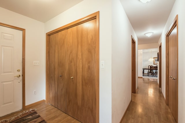 hallway featuring hardwood / wood-style floors