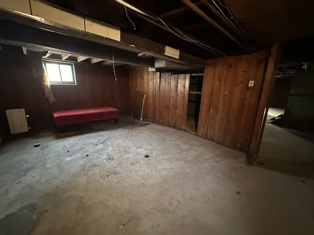 basement with wooden walls