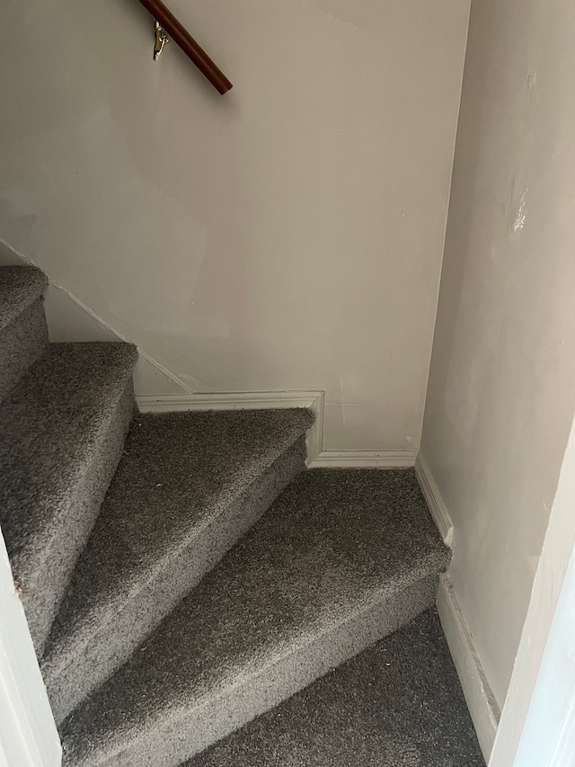 staircase with carpet