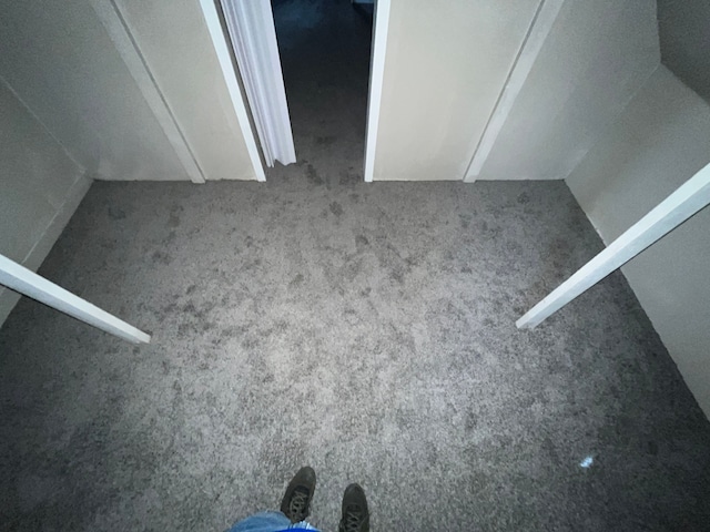 18109 Cornwall St, Detroit, MI 48224 - detailed view of carpet flooring