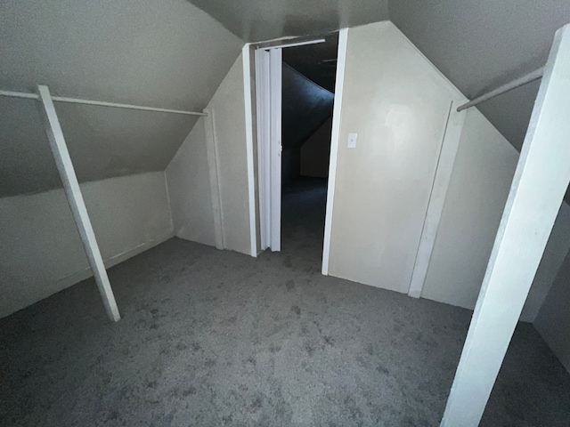 additional living space featuring carpet floors and vaulted ceiling