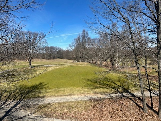 5900 Water Rd Unit 319, Rothbury, MI 49452 - view of property's community with a lawn and golf course view