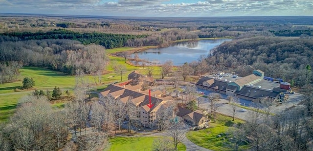 5900 Water Rd Unit 319, Rothbury, MI 49452 - aerial view of property's location with a nearby body of water and a forest