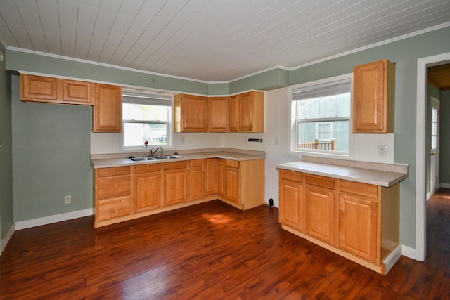 kitchen featuring sink, wooden ceiling, dark hardwood / wood-style floors, and ornamental molding