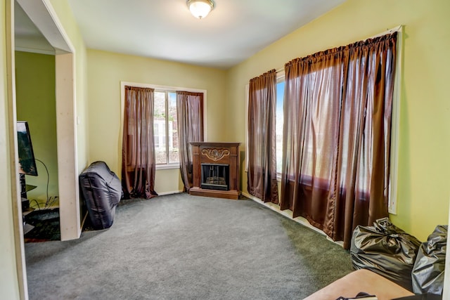 living area with carpet flooring