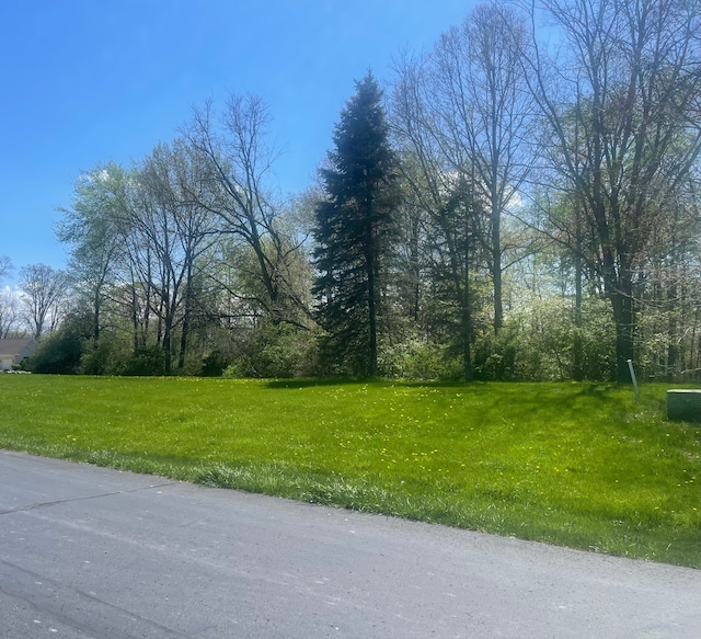 13298 Harborview Dr, Linden MI, 48451 land for sale