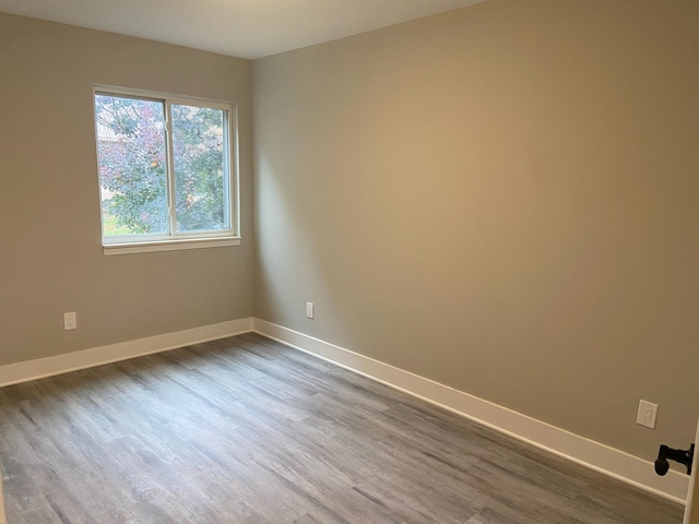 empty room with wood-type flooring