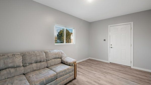 living room with light hardwood / wood-style flooring