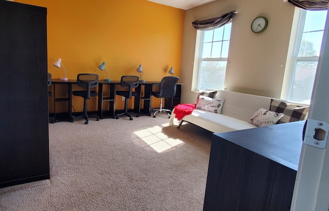 living room featuring carpet