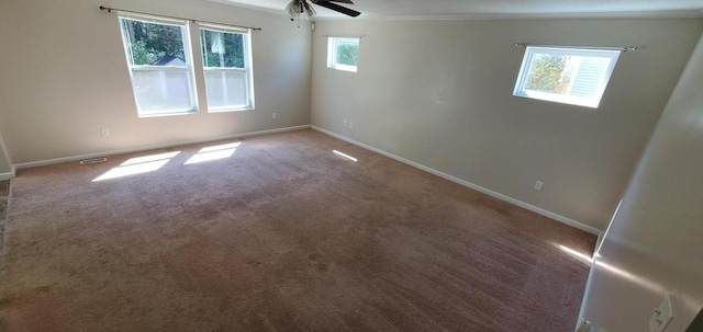 carpeted spare room with plenty of natural light, ceiling fan, and crown molding