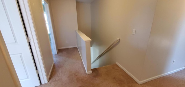 stairway featuring carpet floors