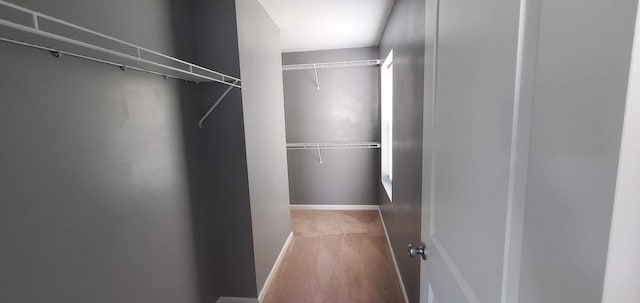 view of walk in closet