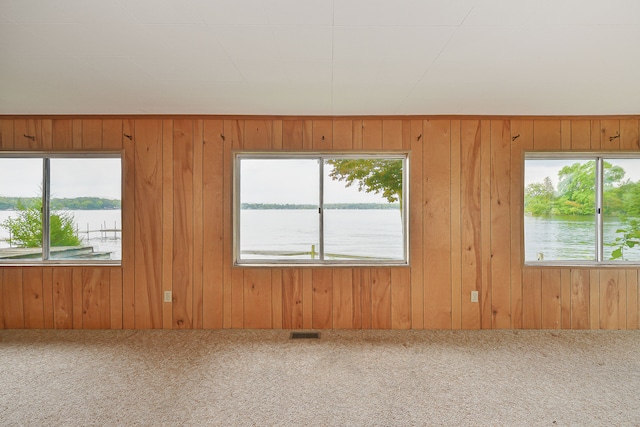 carpeted empty room with wood walls and a water view