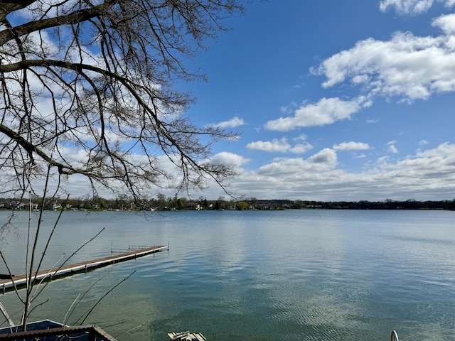 property view of water with a boat dock