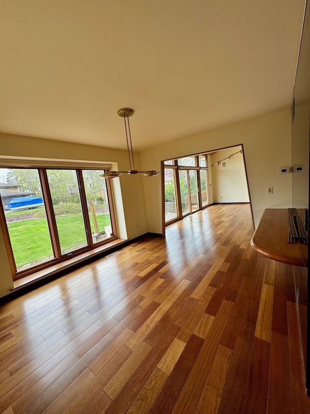 interior space with plenty of natural light and hardwood / wood-style flooring