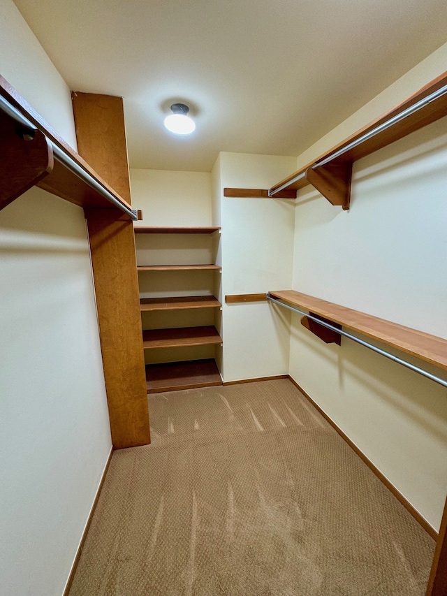 spacious closet with light colored carpet