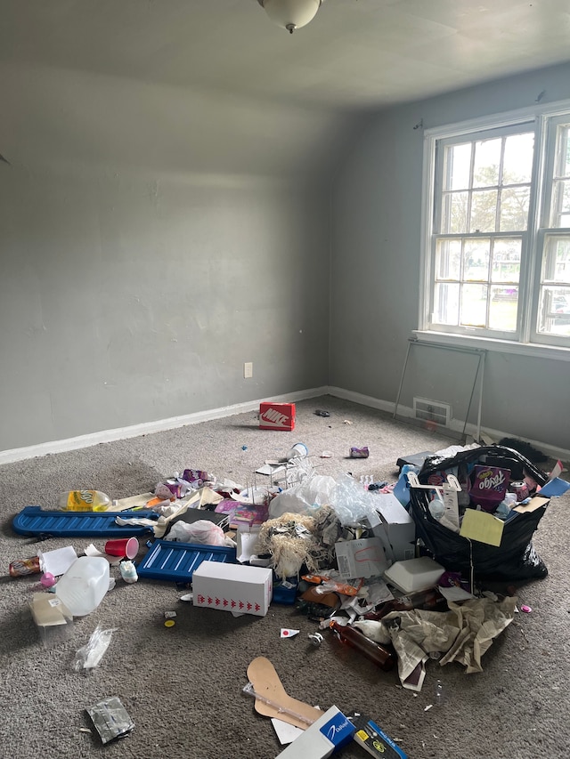 additional living space featuring carpet floors and lofted ceiling