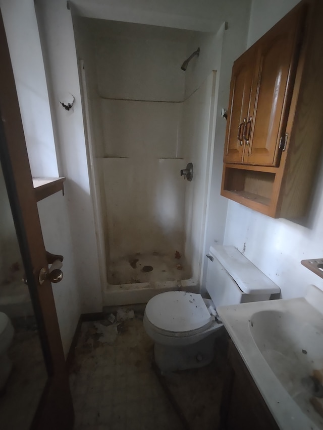 bathroom with vanity, toilet, and walk in shower