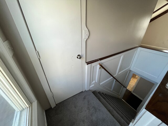 stairway featuring carpet floors