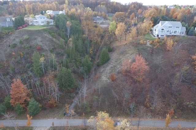 0 S Donnybrook Rd, Suttons Bay, MI 49682 - photo 3