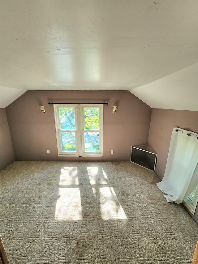 120 W Mcneil St, Corunna, MI 48817 - additional living space featuring lofted ceiling and carpet floors