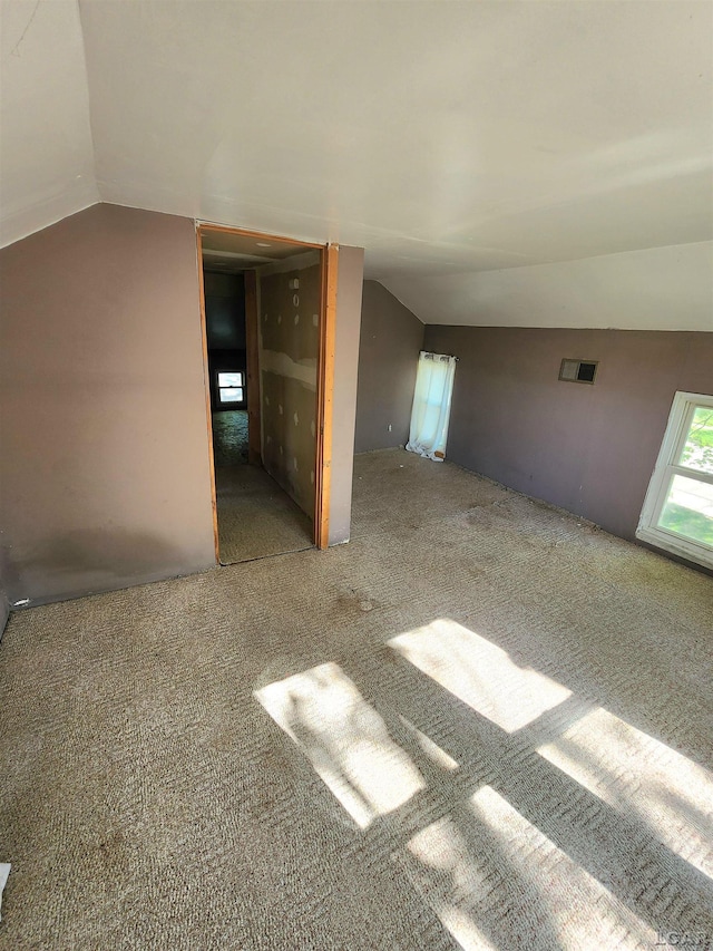 120 W Mcneil St, Corunna, MI 48817 - bonus room with carpet flooring and vaulted ceiling