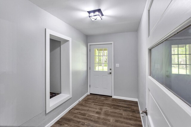 doorway to outside with dark hardwood / wood-style flooring