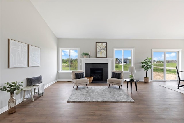 living room with a tiled fireplace, vaulted ceiling, and dark hardwood / wood-style flooring