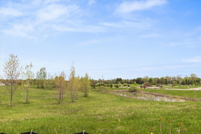 view of yard featuring a rural view