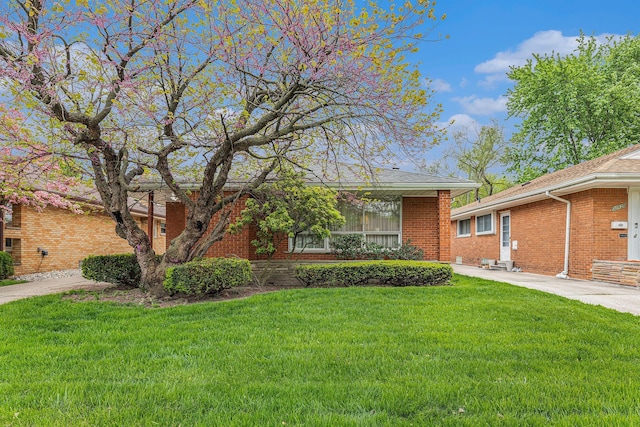 view of front of property with a front lawn