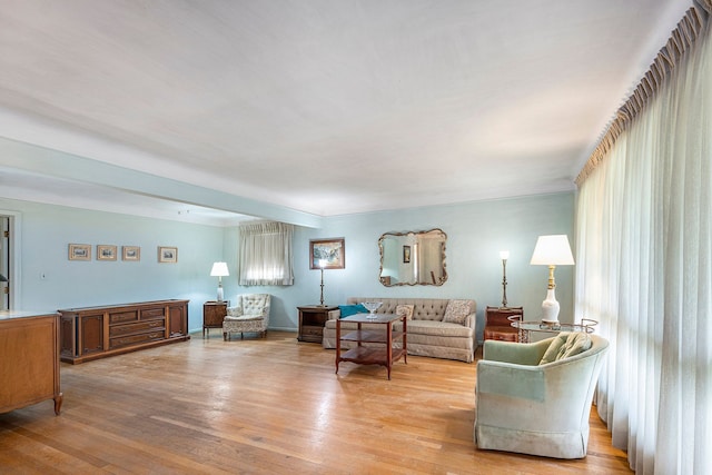 living room featuring light hardwood / wood-style flooring