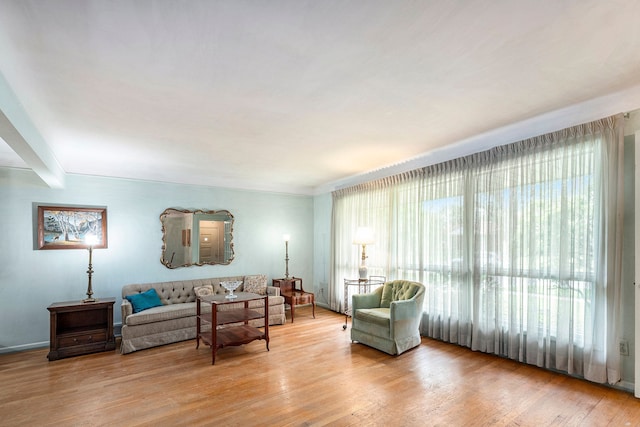 living room featuring light hardwood / wood-style floors