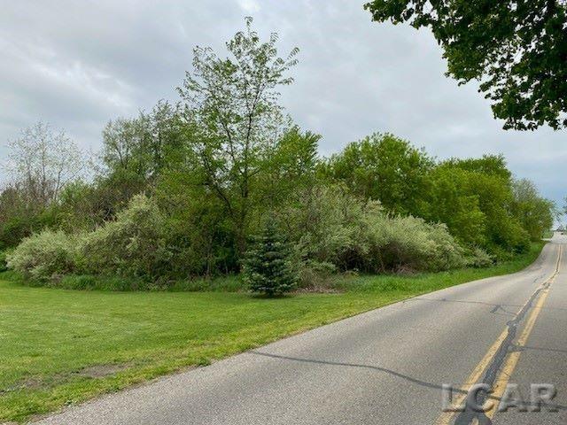 8000BLKLOT8 Stephenson Rd, Onsted MI, 49265 land for sale