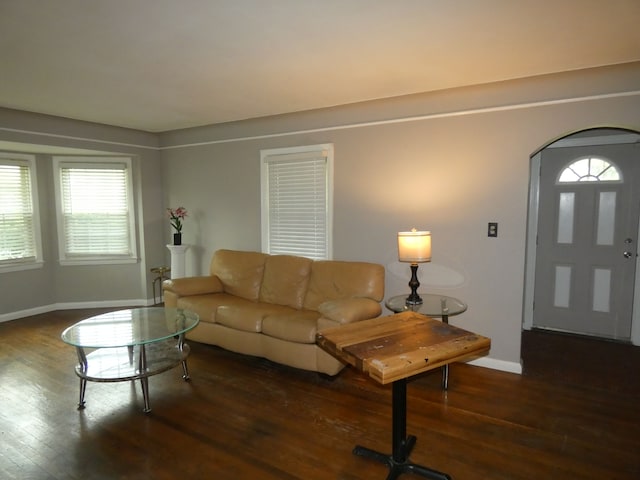 living room with dark hardwood / wood-style flooring