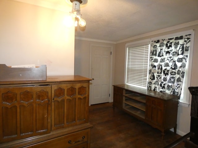 interior space with dark hardwood / wood-style floors and crown molding